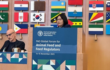 กองควบคุมอาหารและยาสัตว์  เข้าร่วมประชุมด้านอาหารสัตว์ “FAO Global Forum on Animal Feed and Feed Regulators”  ณ สำนักงานใหญ่ องค์การอาหารและเกษตรแห่งสหประชาชาติ (FAO) กรุงโรม ประเทศอิตาลี